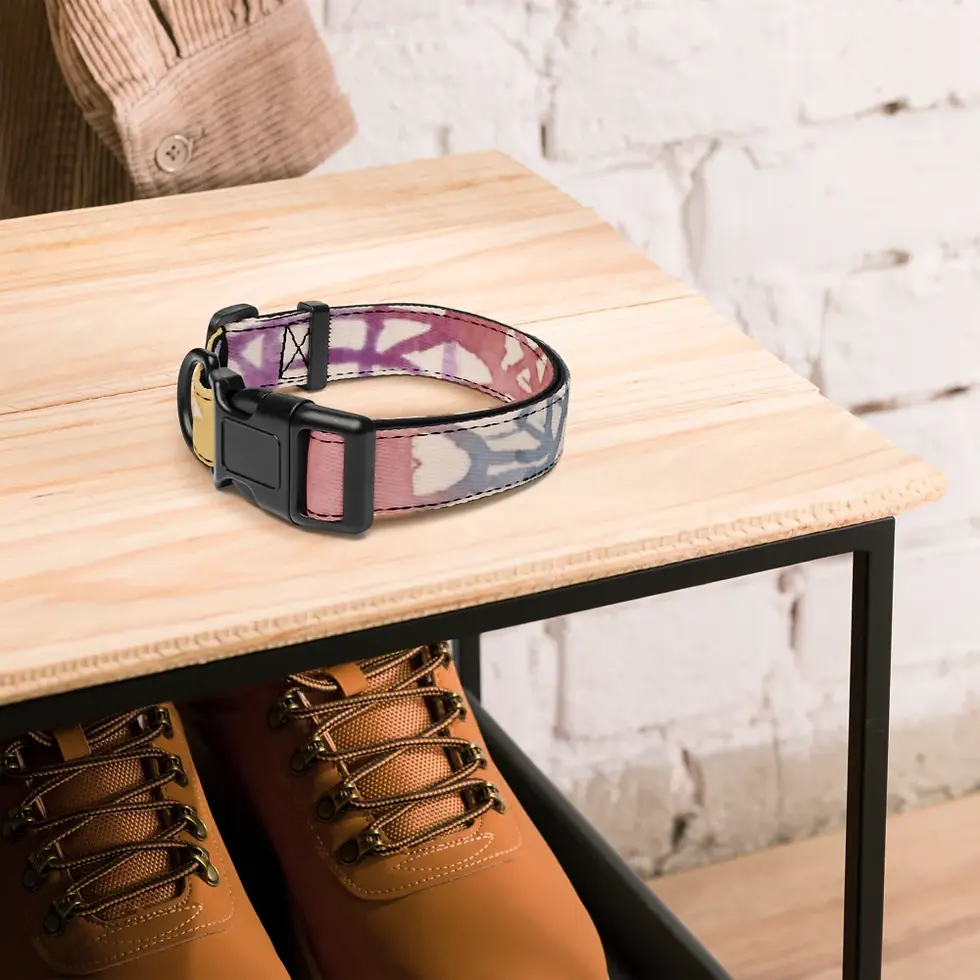 Thumbnail: Sebastian & Clementine Old City Premium Adjustable Pet Collar