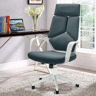 Office Desk Chair
