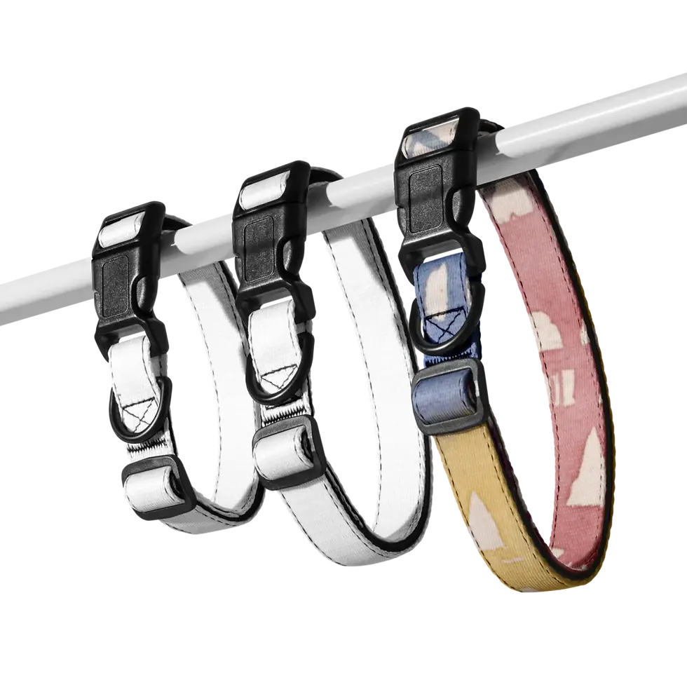Thumbnail: Sebastian & Clementine Old City Premium Adjustable Pet Collar