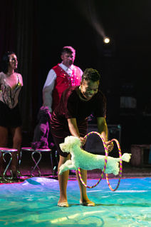 20220302_Perky Poodles - Sheila-1080.jpg