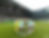 a6160da0-5310-11ef-8bc9-2b83eea42eeb.png