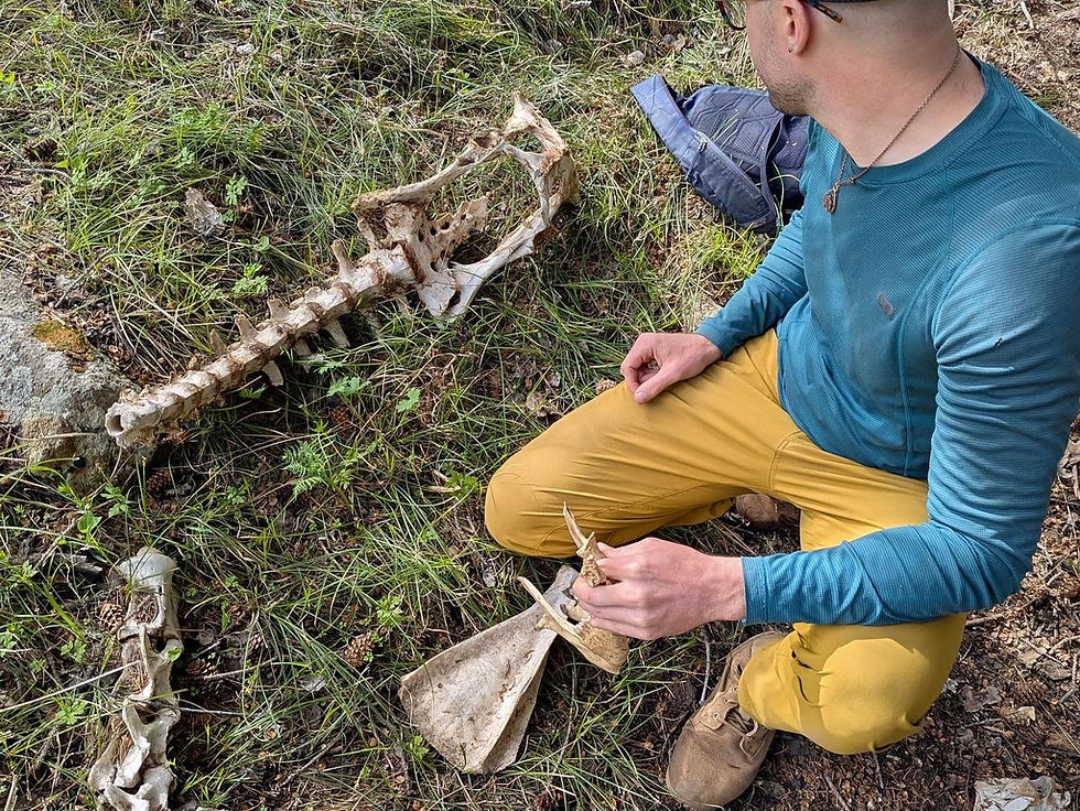 Wildlife Tracking the Four Corners: Following the Seasons and Bioregions Six Class Series