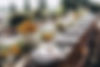AdobeStock_322244198.jpeg