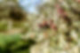 Olea Group-81 copie.jpg