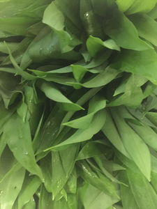 wild garlic.jpeg