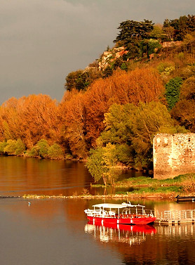Loire-automne-embarcadère-Champtoceaux_edited.jpg
