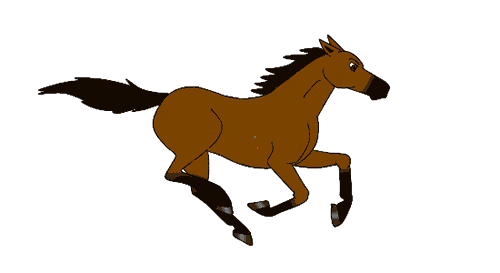 horse no back 2.gif