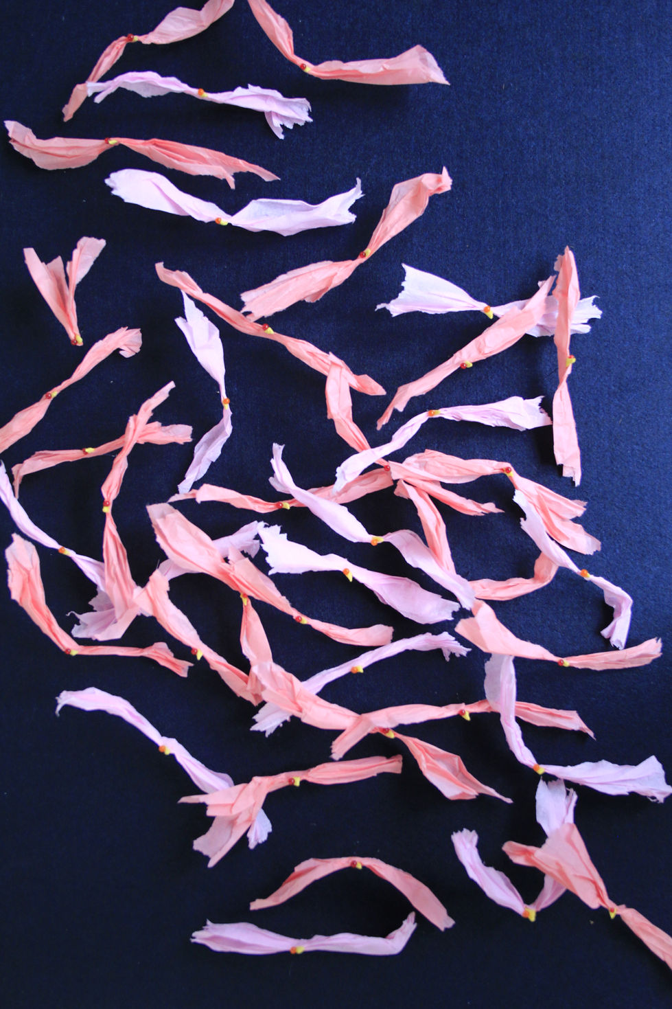 Roze meeuwen