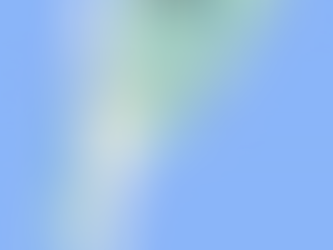 Argentine : Itinéraire et Budget