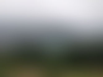 Wellington et Taranaki