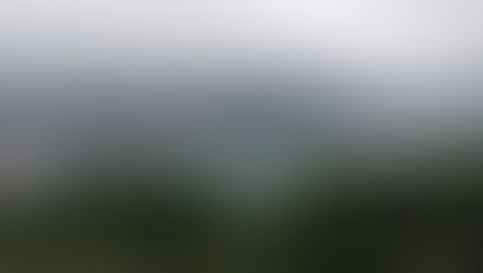 Wellington et Taranaki