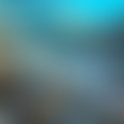 Top 15 des petites expériences à faire en Polynésie