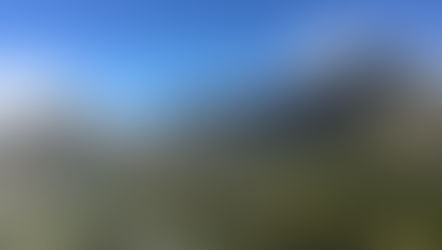 Le Cap, entre Mer et Montagne