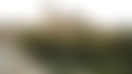 Salamanca : l’université règne