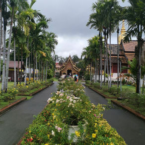 Le Nord de la Thaïlande, Chiang Mai et Chiang Rai