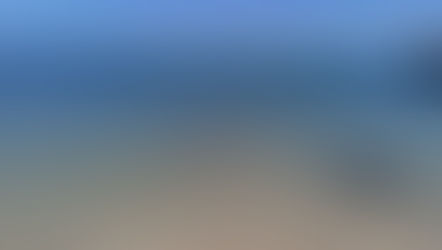 De Perth à Shark Bay 