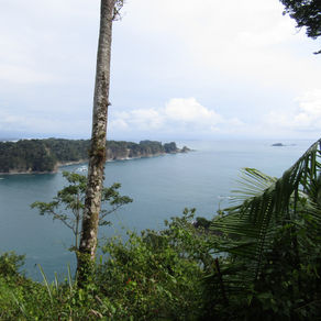 Le Costa Rica : Pura Vida au centre du pays