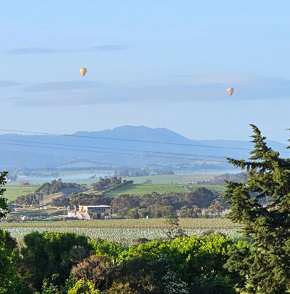 Our Morning View of Hot Air Balloons