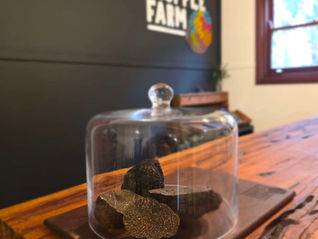 Margaret River Truffle Farm