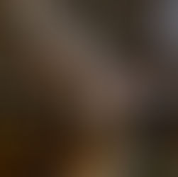 Zen Singapore, A Three Star and Three Storey Journey Through the Frantzén Universe