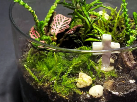 Cultivate Your Faith: How Scripture-Inspired Terrariums Can Help You Grow Spiritually