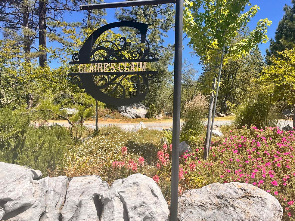 Skull Country at Claire's Claim