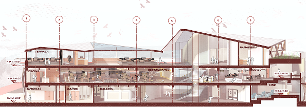 Longitudinal section A–A1 revealing the multi-level organisation: offices below, restaurant at middle level, terrace and bakery above
