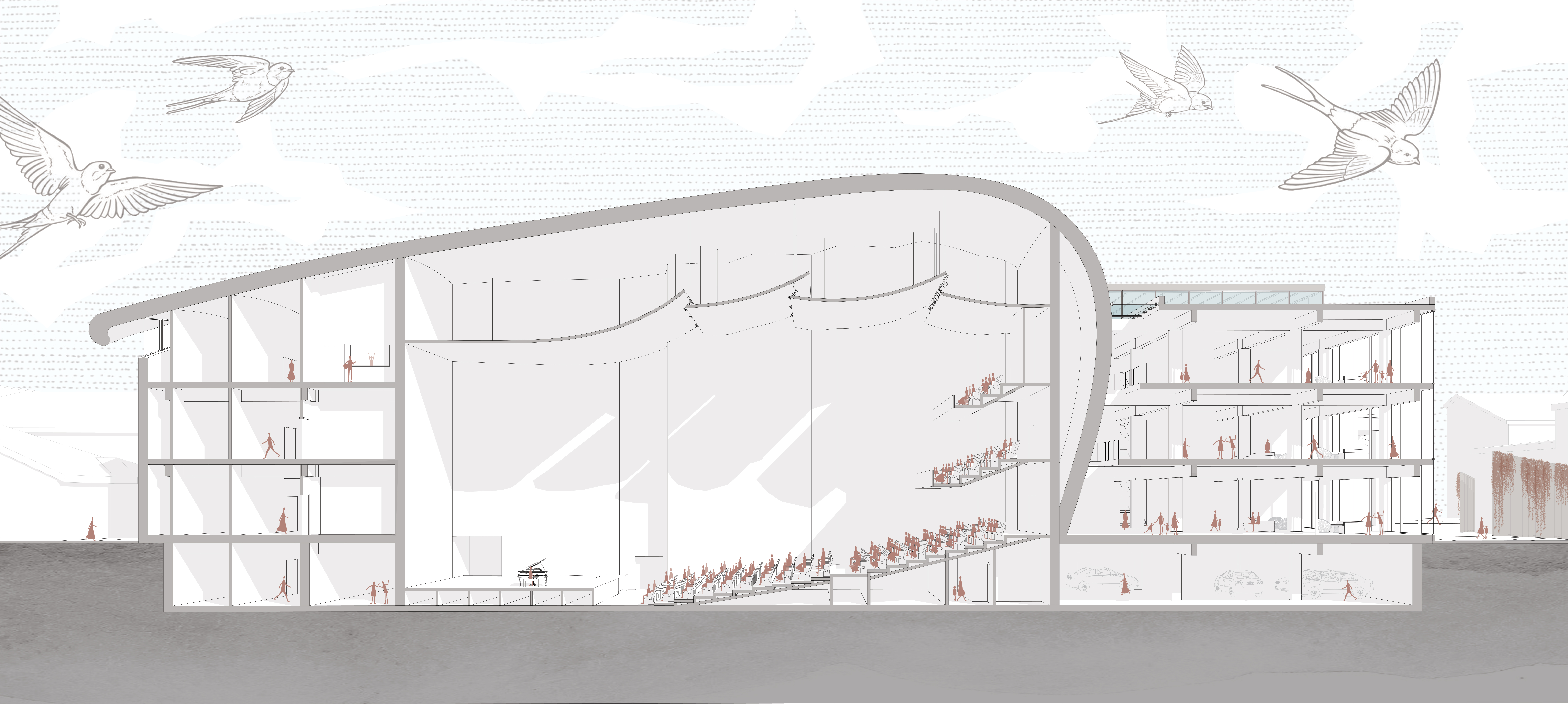 Perspective section