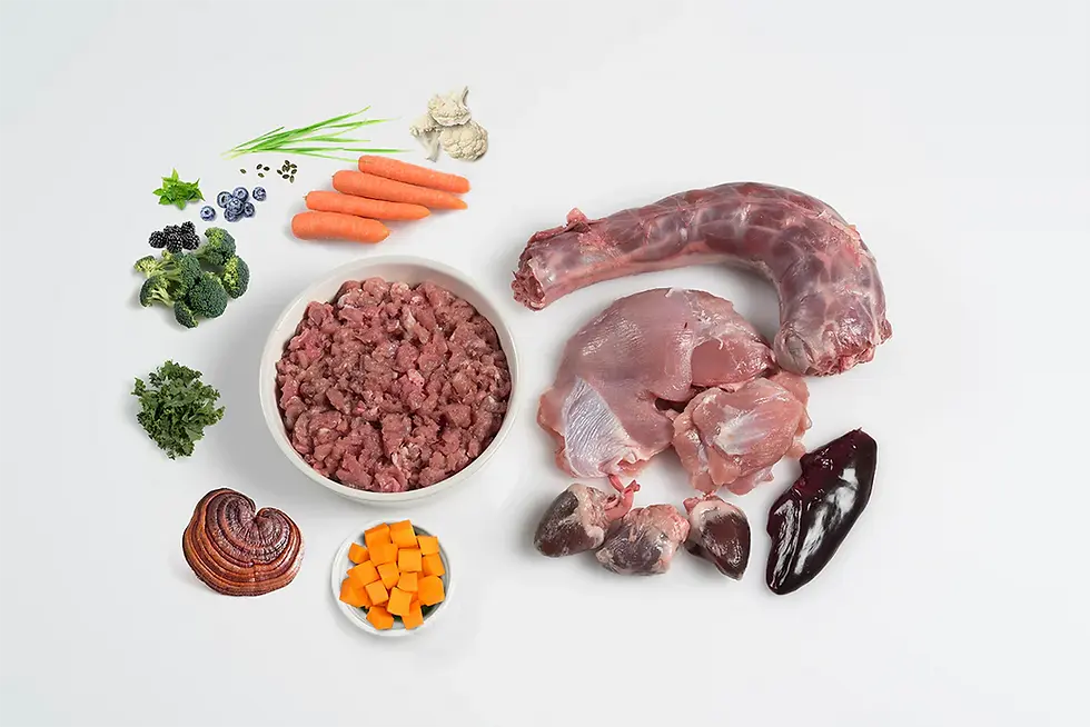 Paleo Puppy Turkey (500g) at Happy Paws Raw Harlow Essex
