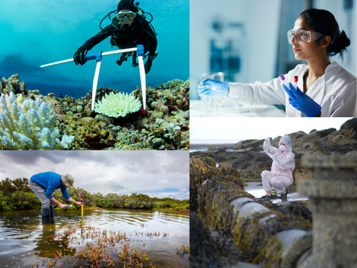 WHAT ARE THE 12 BEST UNIVERSITIES TO study Marine Biology?