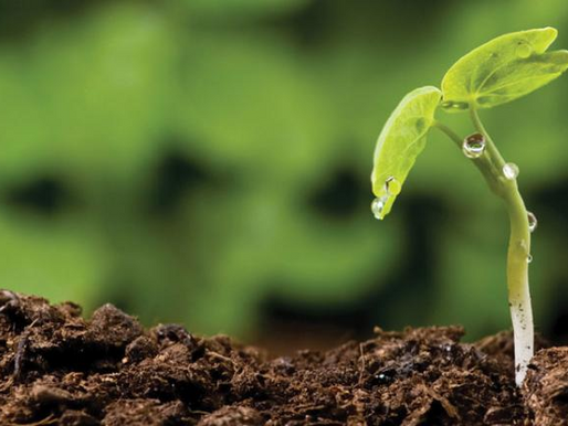 OUR SOIL, OUR FUTURE