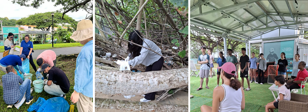 After our monthly community beach clean-ups, the Beach Hub provides a welcoming space for participants to rest and recharge
