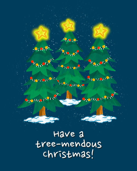 5 Gifting ideas for a Greener FESTIVE SEASON