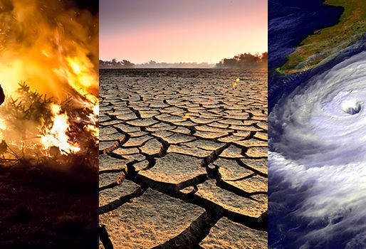 Our Climate Crisis: How you can make a difference NOW
