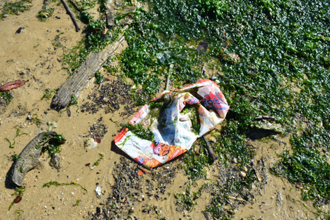 Will plastic offsetting help relieve the plastic problem?
