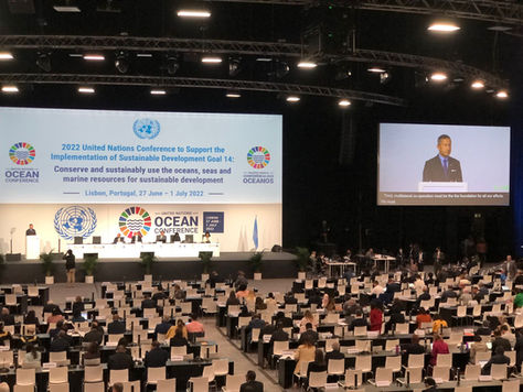 2022 WE'VE BEEN BUSY! G20, UN OCEAN CONFERENCE & COP 27