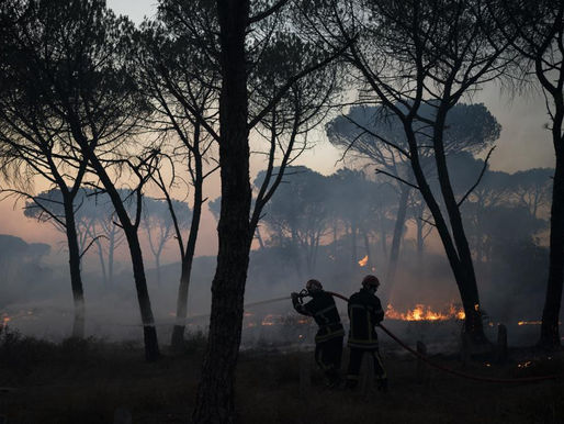 Carbon Tax, The Price of Mother Nature