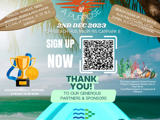 JOIN PADDLE FOR A PURPOSE 2023- Ocean Conservation, Sport, Music & film