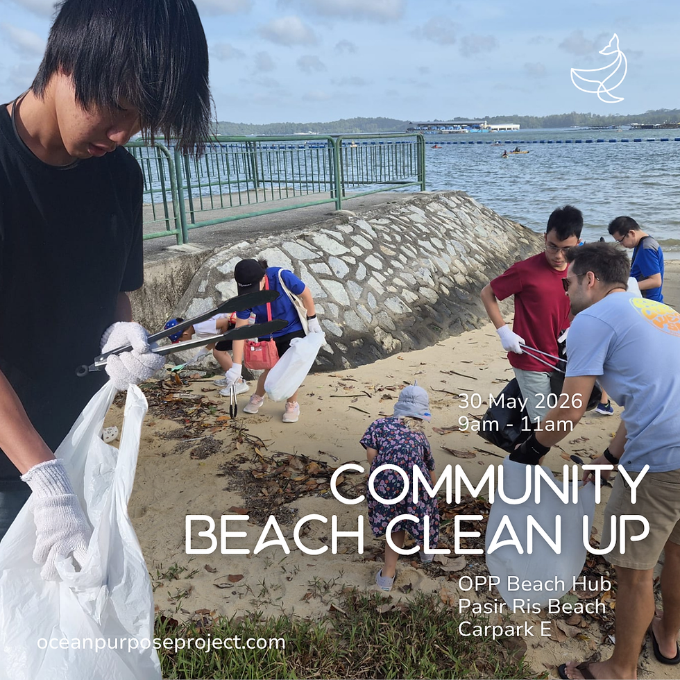 It's Gonna be May Community Beach Cleanup