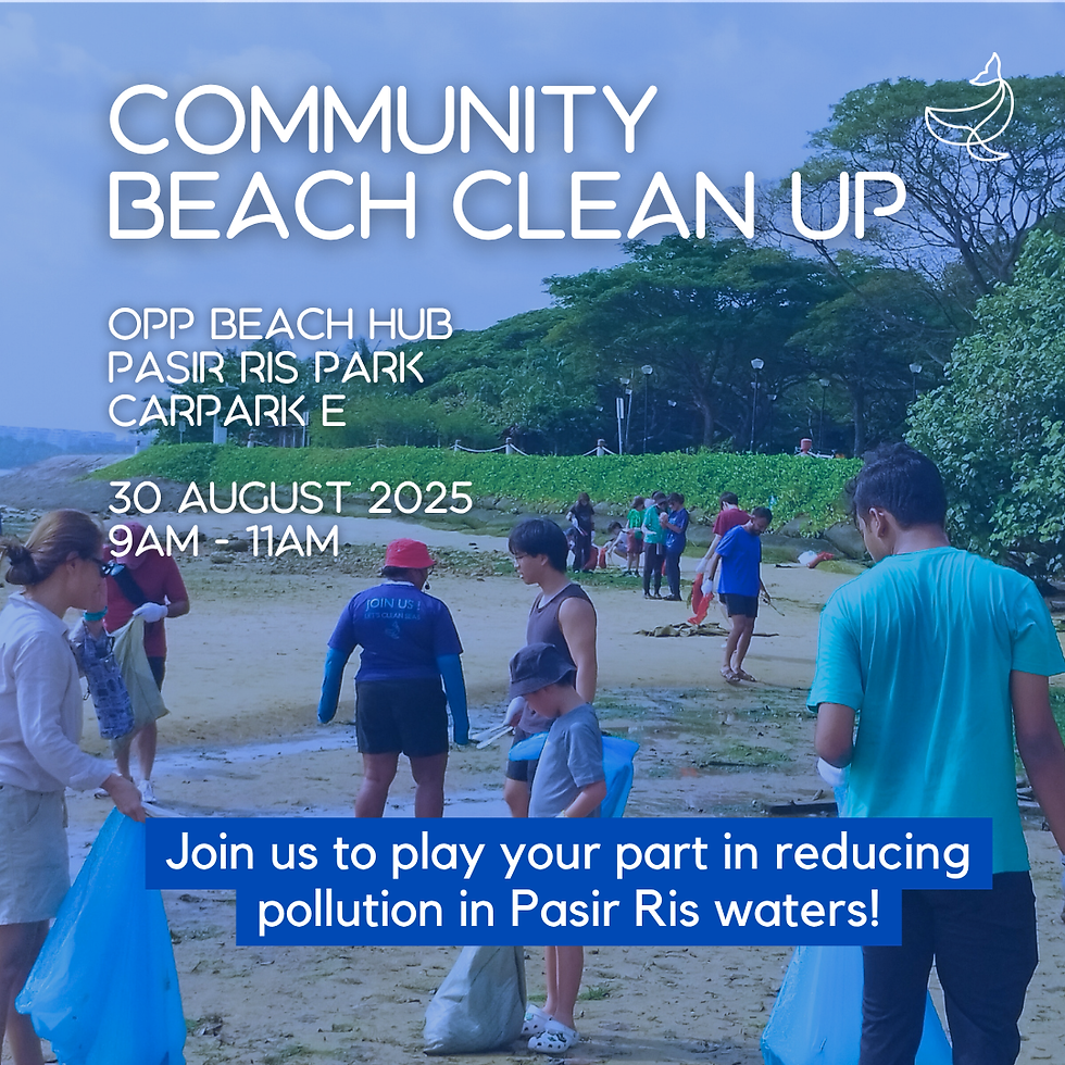 August 2025 Community Beach Cleanup