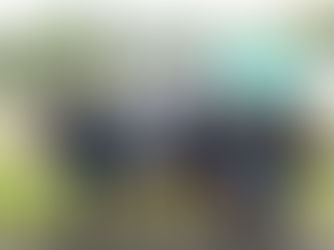 Student Volunteering for Oceans in Singapore