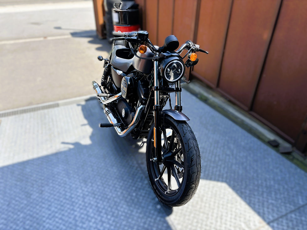 Miniature : Harley-Davidson Iron 883 05/2017 22097km gar 1,2,3ans jhb
