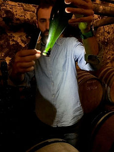 Tour of one of the Wineries