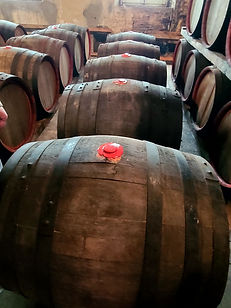 Barrels of Fun. Barrels of Wine!