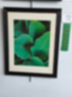 THIRD HONORABLE MENTION