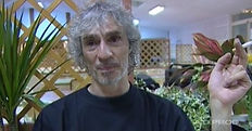 bertignac.JPG