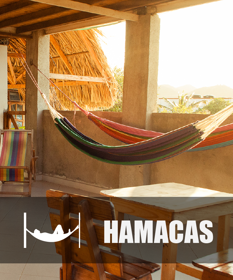 Hammock