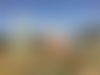 こどもまつり
