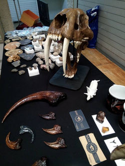 27973683_997374173743831_3852701139356265495_n