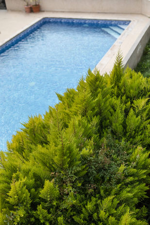 בריכת שחייה במתחם הדירה